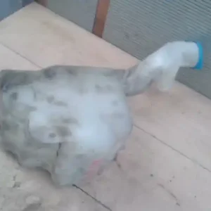 HONDA CIVIC -91 Ablakmosó tartály 2 motoros motorokkal bontott alkatrész Azonnali szállítás