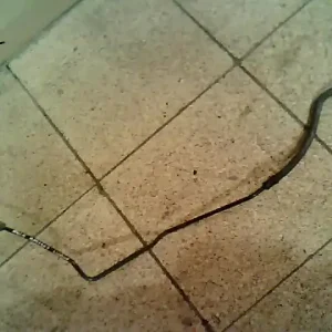 VW POLO IV. 99-02 Szervócső 1.4 i, 5 ajtósbontott alkatrész Ne maradj le