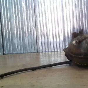 VW SHARAN 95.08-00.04 Kiegyenlítő tartály bontott alkatrész Biztonságos fizetés