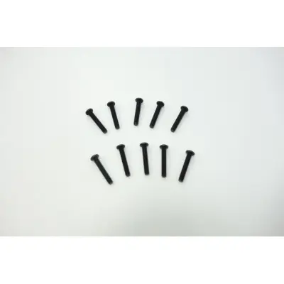 Expressz kézbesítés SWORKz acél lencsefejű Inbuszcsavar M2,5x14mm, 10db